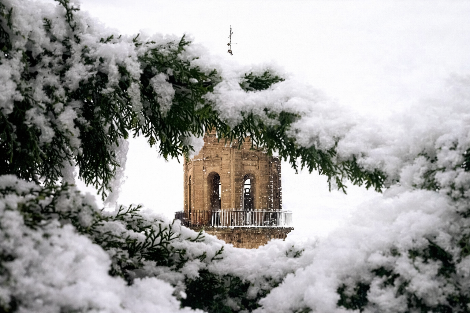 Private experiencies in Rioja